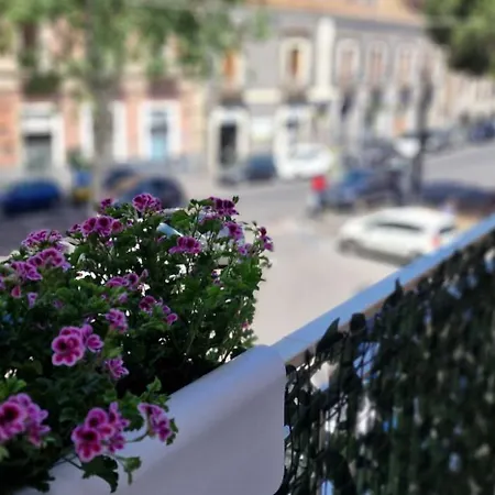 La Casa Di Iside
